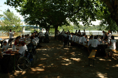 Groupes (31)
