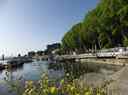 _copie-0_Mercredi_25_06_281729.jpg