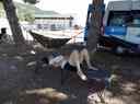 _copie-0_Mercredi_25_06_282729.jpg