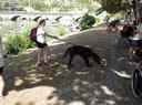 _copie-0_Mercredi_25_06_284929.jpg
