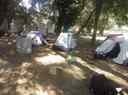 Jeudi_24_06_2025_289029.jpg