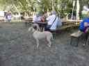 Samedi_20_juin_2026_280229.jpg