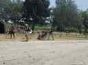 Dimanche_21_juin_2026_285429.jpg