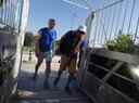 Lundi_22_juin_2026_285729~0.jpg