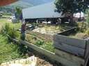 Samedi_27_juin_2026_283529.jpg